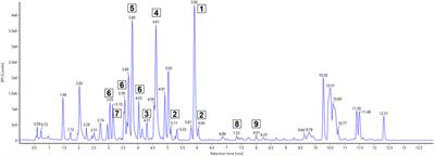 Discovery of thiazostatin D/E using UPLC-HR-MS2-based metabolomics and σ-factor engineering of Actinoplanes sp. SE50/110